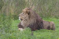 Cjp_2011_08_02_165737 (1).jpg